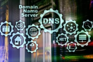dns nameserver addresses for your hosting settings